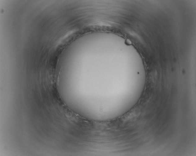 X0000067950870200604272057