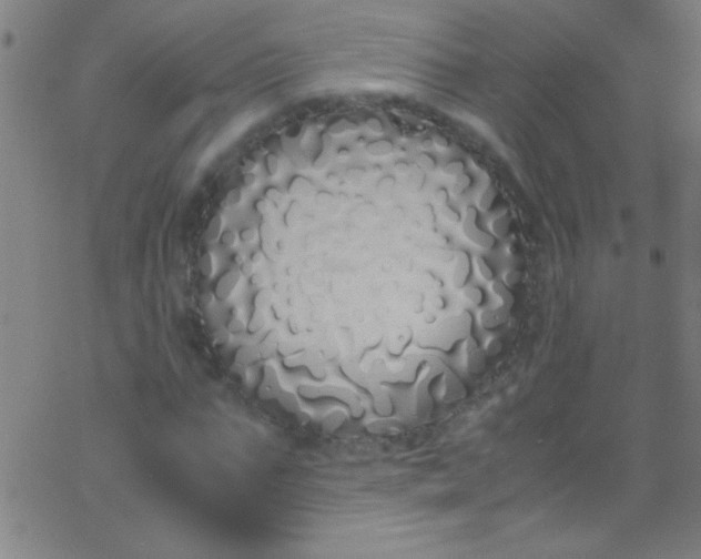 X0000067950871200604272057