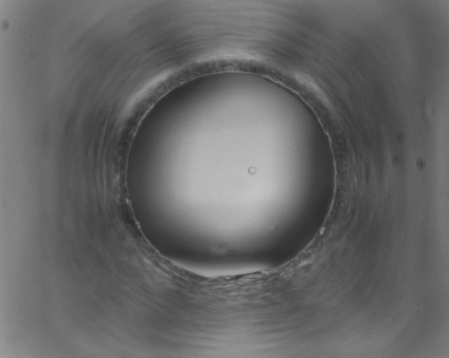 X0000067950872200604272057