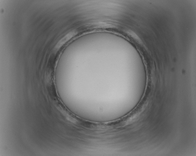 X0000067950873200604272057