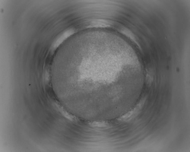 X0000067950874200604272057