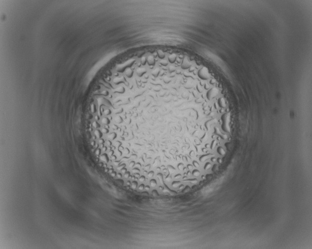 X0000067950875200604272057