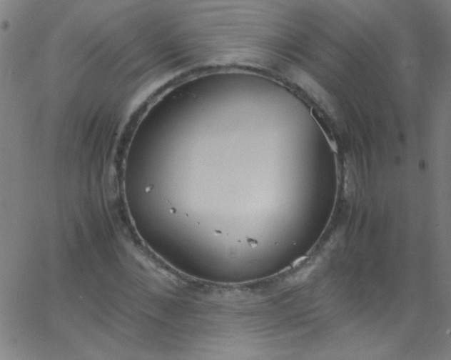 X0000067950876200604272057