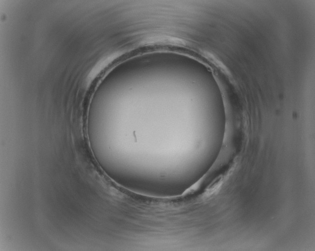 X0000067950877200604272057