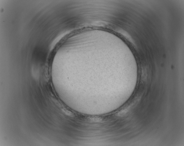 X0000067950878200604272057