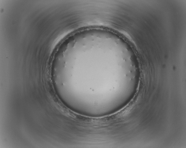 X0000067950879200604272057