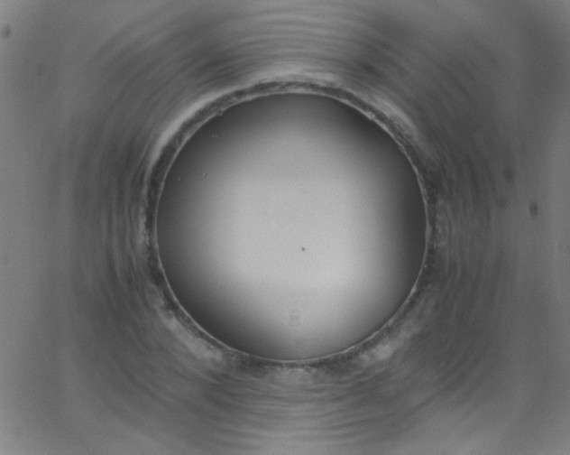 X0000067950880200604272057