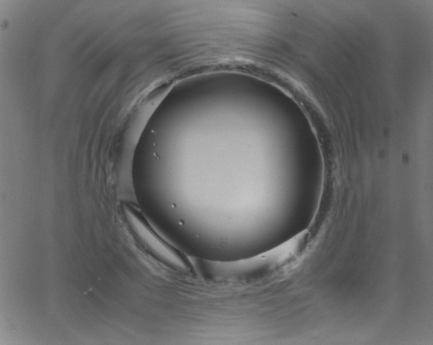 X0000067950881200604272056