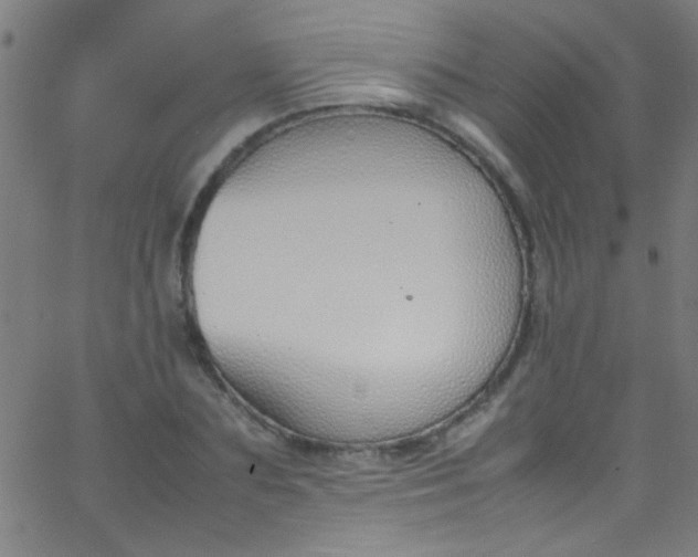 X0000067950883200604272056