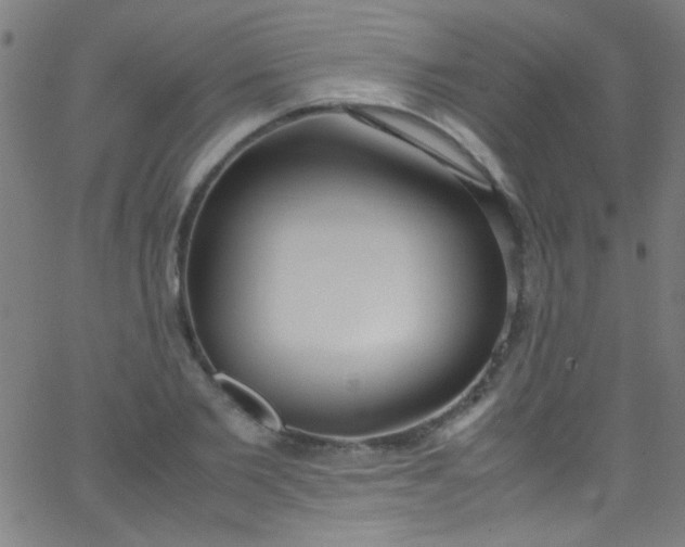 X0000067950885200604272056