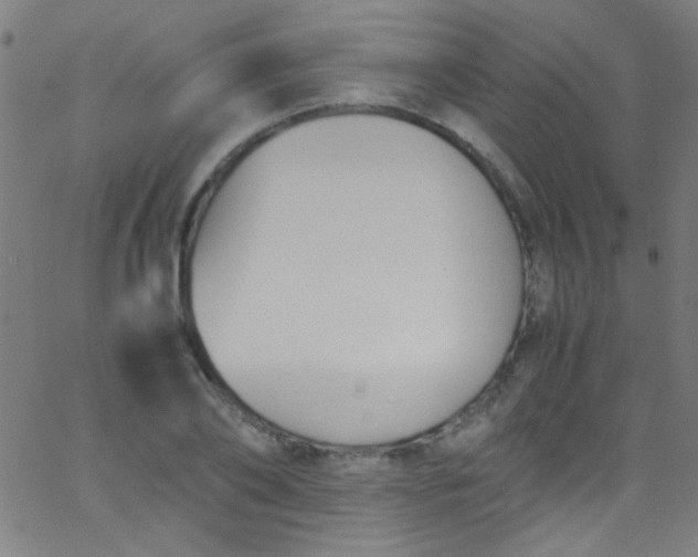 X0000067950886200604272056