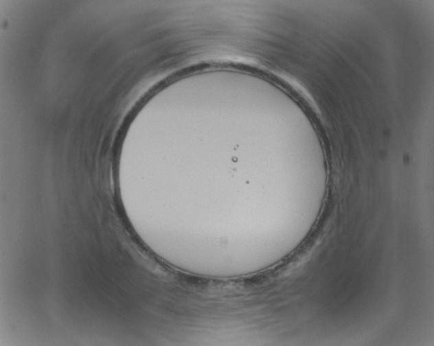 X0000067950887200604272056