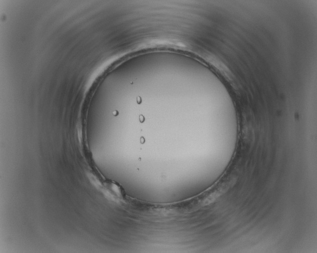 X0000067950888200604272056