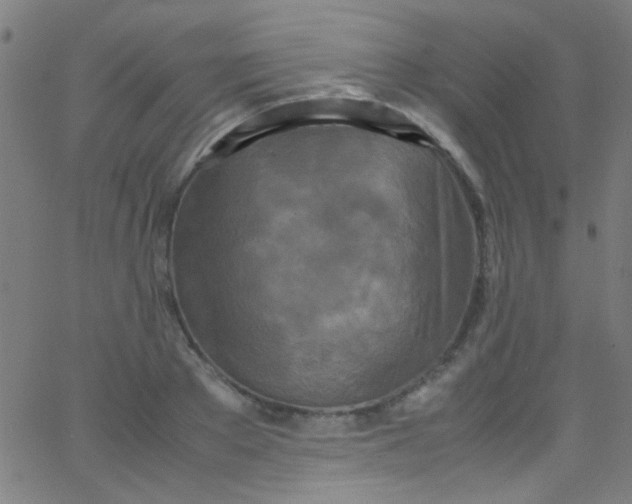 X0000067950889200604272056