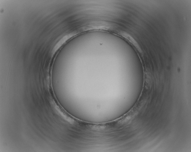 X0000067950890200604272056