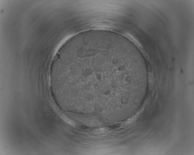 X0000067950891200604272056