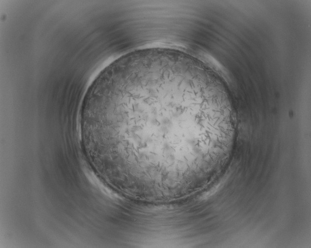 X0000067950892200604272056