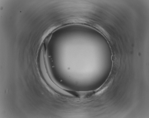 X0000067950893200604272056