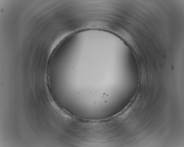 X0000067950896200604272056