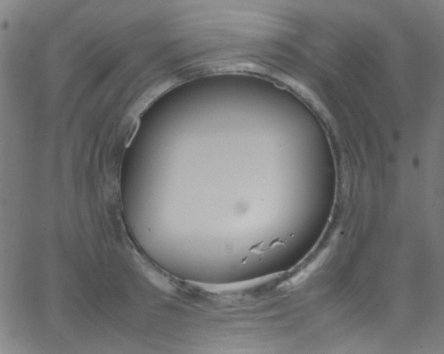 X0000067950897200604272056