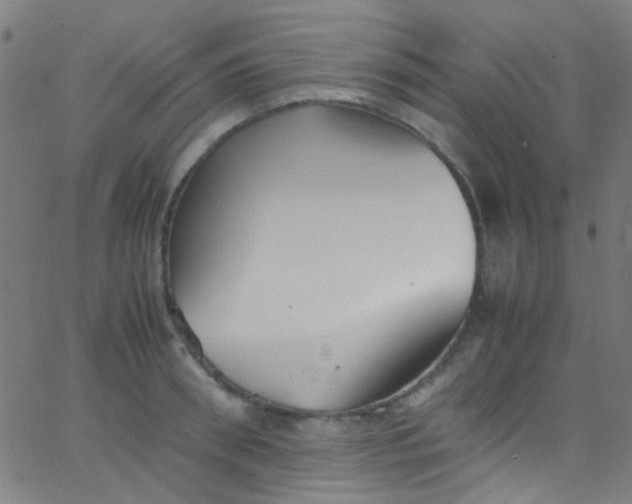 X0000067950898200604272056