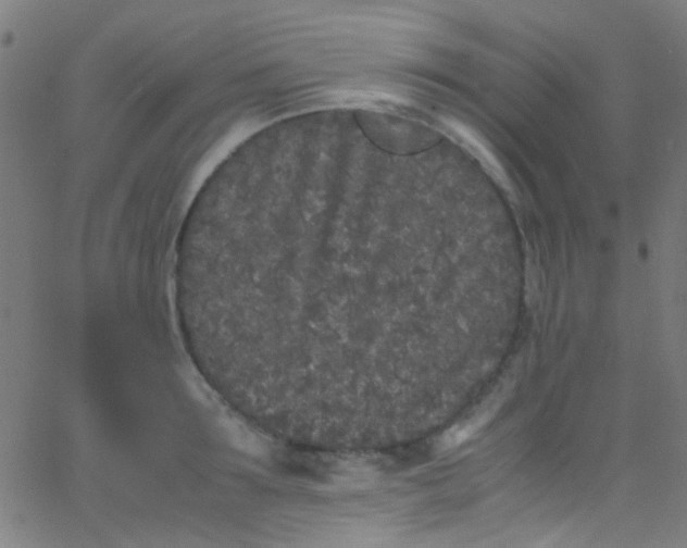 X0000067950899200604272056