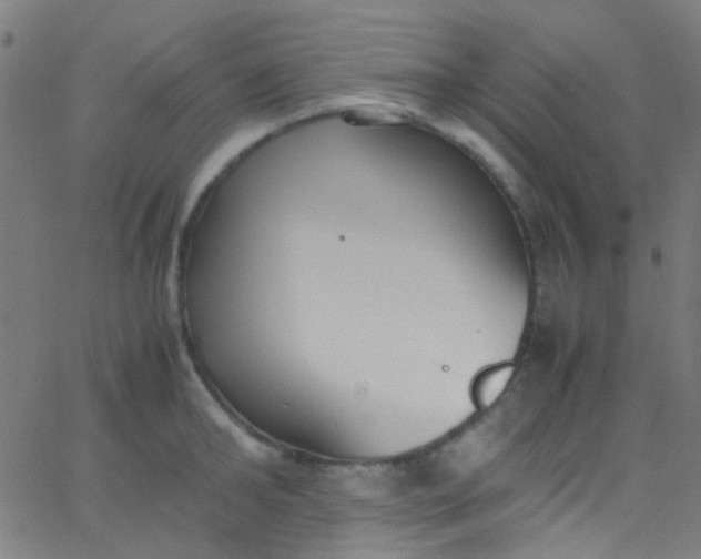 X0000067950902200604272056