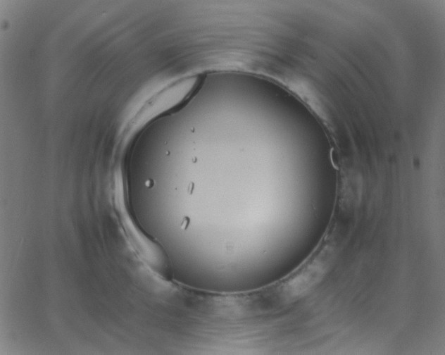 X0000067950904200604272056