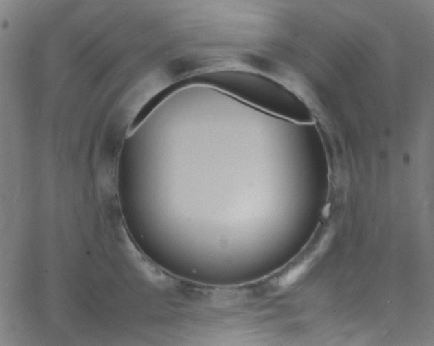 X0000067950905200604272056