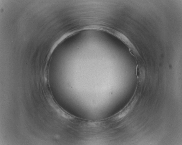 X0000067950908200604272056