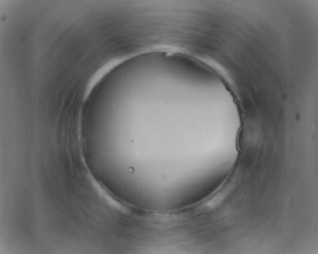 X0000067950910200604272056