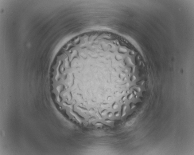 X0000067950911200604272056