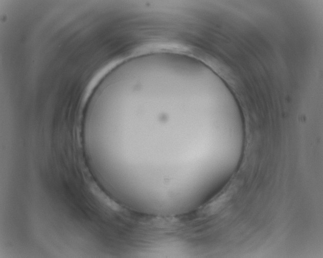 X0000067950912200604272056