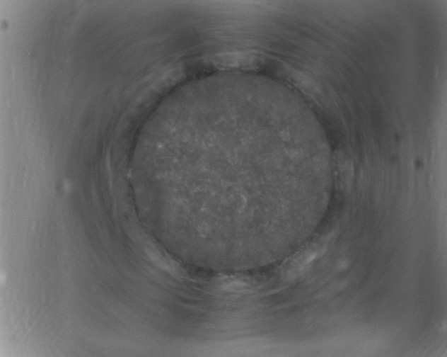 X0000067950913200604272055