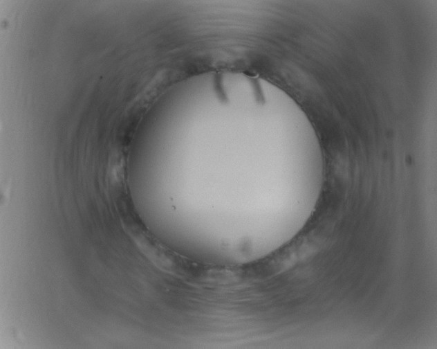 X0000067950914200604272055