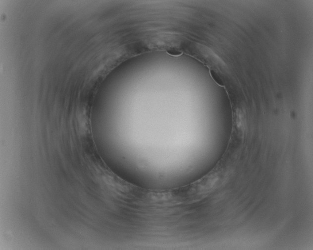 X0000067950915200604272055