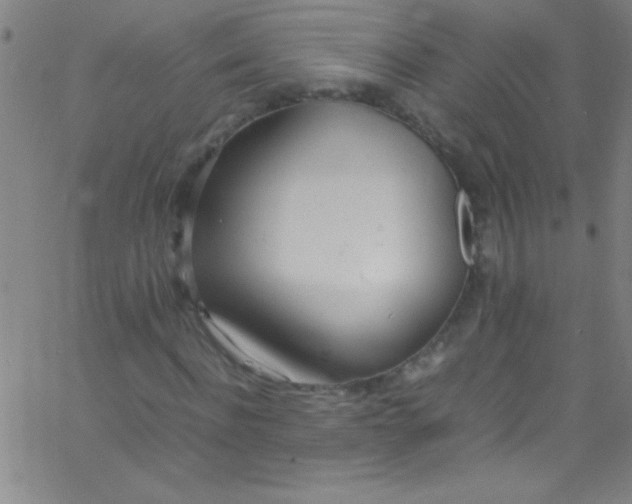 X0000067950916200604272055