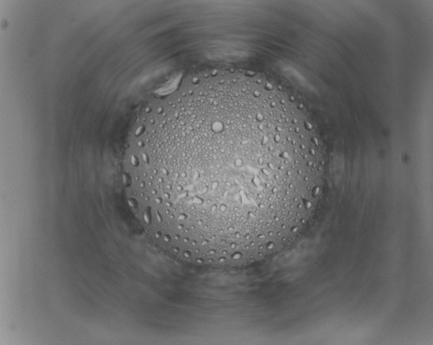 X0000067950917200604272055