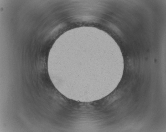 X0000067950918200604272055