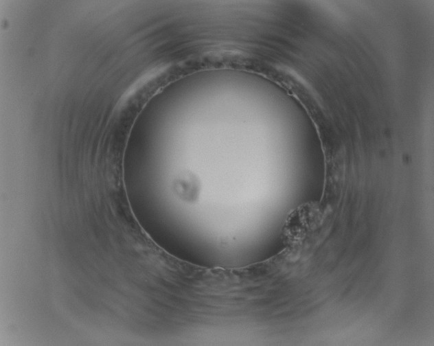 X0000067950919200604272055