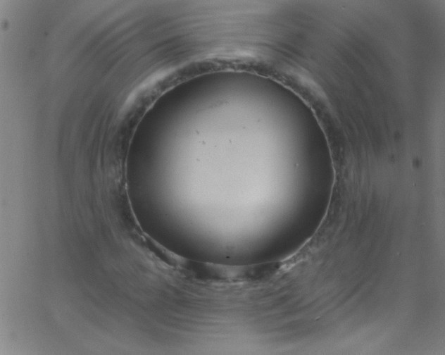 X0000067950920200604272055