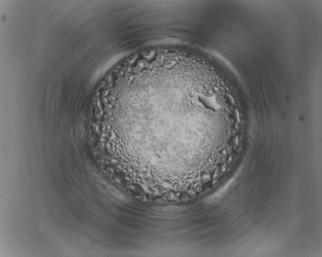 X0000067950921200604272055