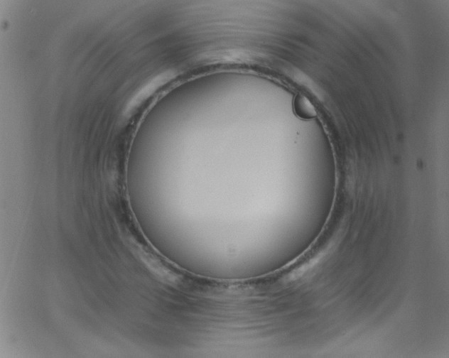 X0000067950922200604272055