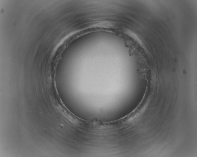 X0000067950923200604272055