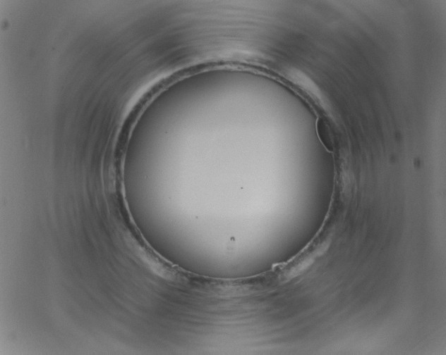 X0000067950924200604272055