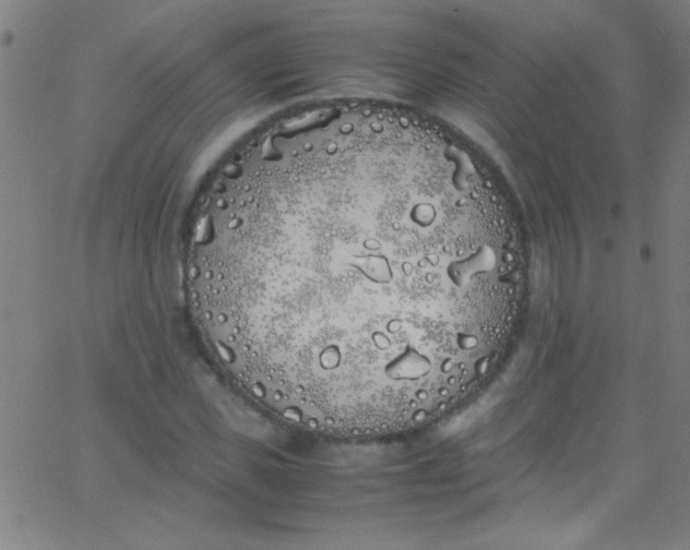 X0000067950925200604272055