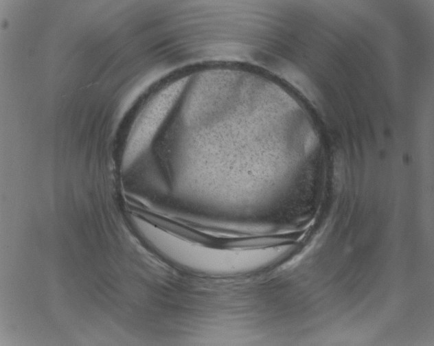 X0000067950926200604272055