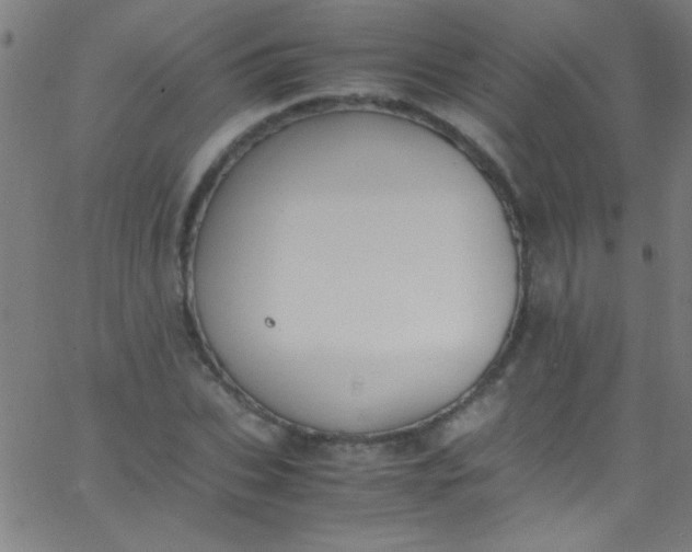 X0000067950927200604272055