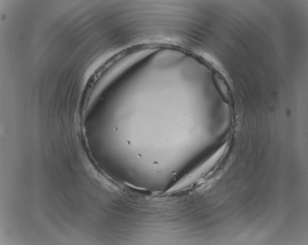 X0000067950928200604272055