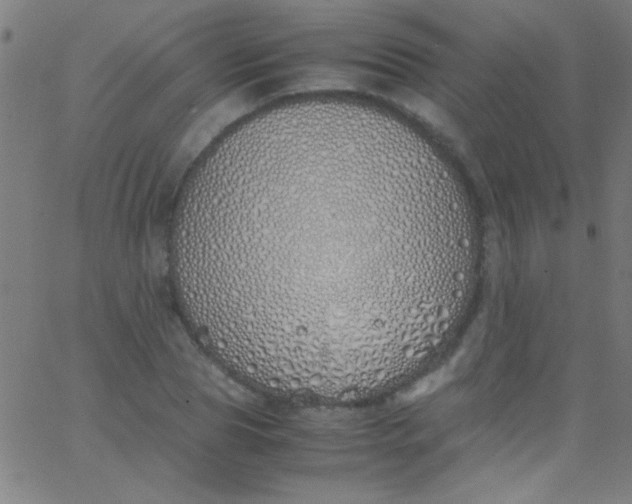 X0000067950929200604272055